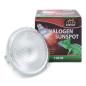 Preview: Terra Exotica Halogen Sunspot - Halogen Spotstrahler - 100 Watt